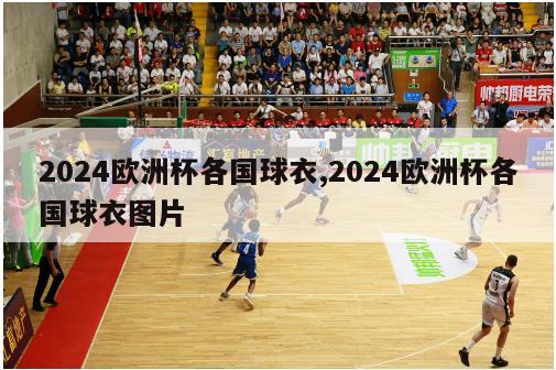 2024欧洲杯各国球衣,2024欧洲杯各国球衣图片