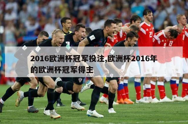 2016欧洲杯冠军投注,欧洲杯2016年的欧洲杯冠军得主