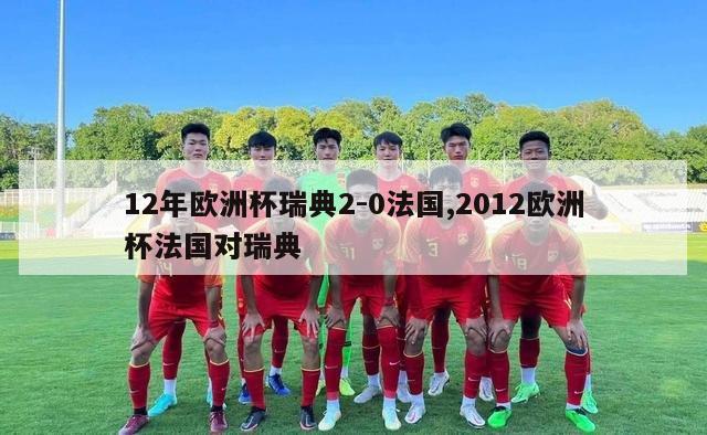 12年欧洲杯瑞典2-0法国,2012欧洲杯法国对瑞典