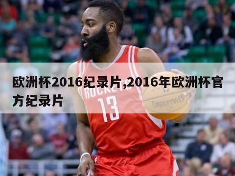 欧洲杯2016纪录片,2016年欧洲杯官方纪录片