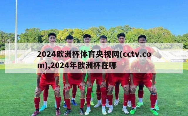 2024欧洲杯体育央视网(cctv.com),2024年欧洲杯在哪