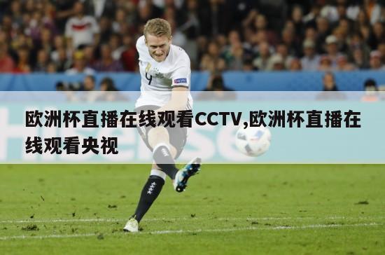 欧洲杯直播在线观看CCTV,欧洲杯直播在线观看央视