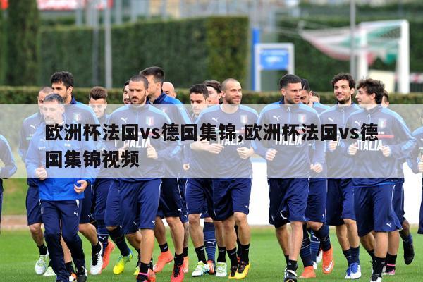 欧洲杯法国vs德国集锦,欧洲杯法国vs德国集锦视频