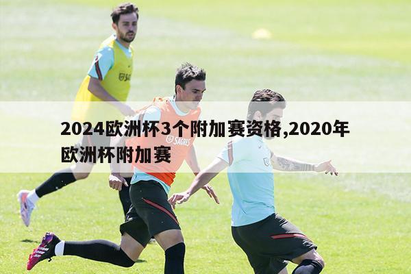 2024欧洲杯3个附加赛资格,2020年欧洲杯附加赛