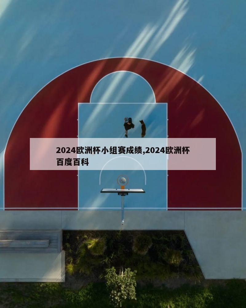 2024欧洲杯小组赛成绩,2024欧洲杯百度百科