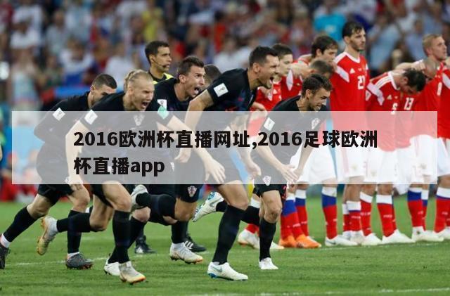 2016欧洲杯直播网址,2016足球欧洲杯直播app