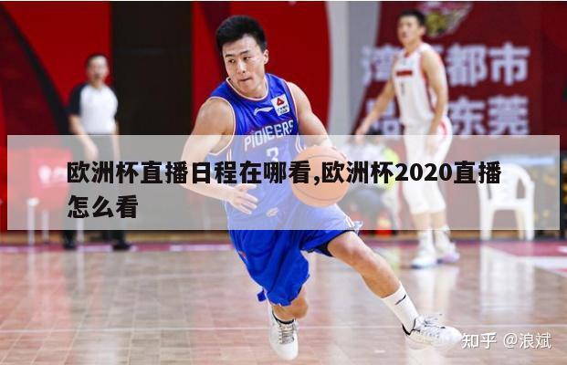 欧洲杯直播日程在哪看,欧洲杯2020直播怎么看