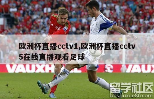 欧洲杯直播cctv1,欧洲杯直播cctv5在线直播观看足球