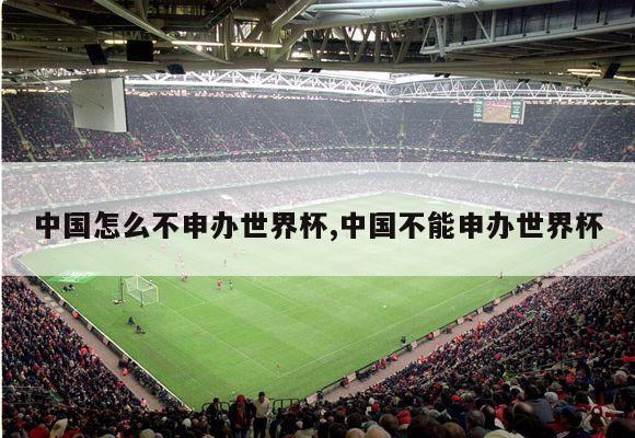 中国怎么不申办世界杯,中国不能申办世界杯