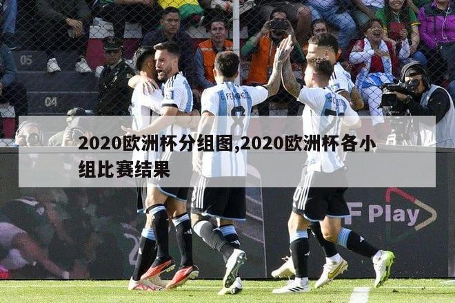 2020欧洲杯分组图,2020欧洲杯各小组比赛结果