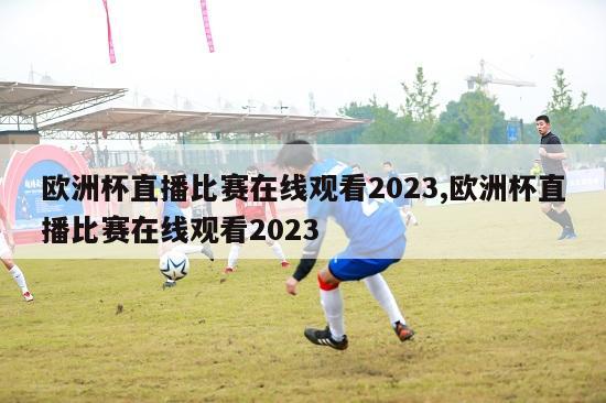 欧洲杯直播比赛在线观看2023,欧洲杯直播比赛在线观看2023