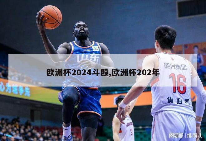 欧洲杯2024斗殴,欧洲杯202年