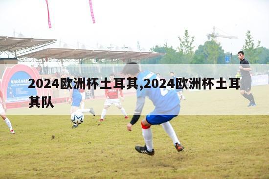 2024欧洲杯土耳其,2024欧洲杯土耳其队