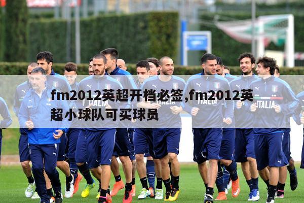 fm2012英超开档必签,fm2012英超小球队可买球员